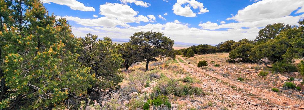 Farm and Ranch for sale in Alamosa County, Colorado