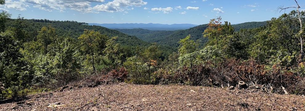 Farm and Ranch for sale in Cherokee County, North Carolina