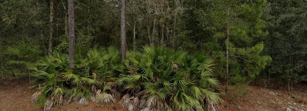 Undeveloped Land for sale in Putnam County, Florida