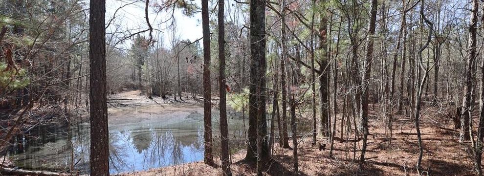 Undeveloped Land for sale in Dodge County, Georgia
