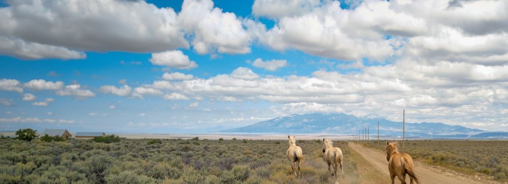 Undeveloped Land for sale in Costilla County, Colorado