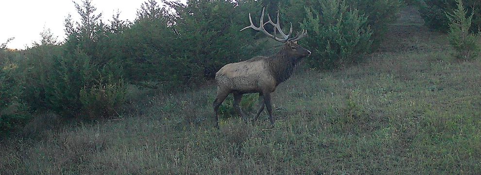 Farm and Ranch for sale in Lyman County, South Dakota