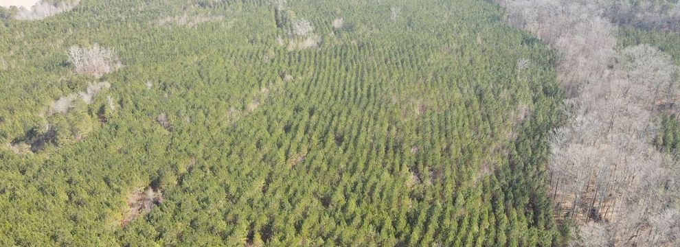 Timberland Property for sale in Henry County, Georgia