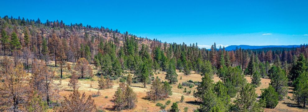 Farm and Ranch for sale in Klamath County, Oregon