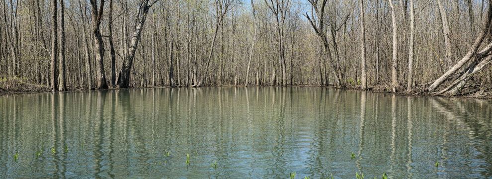 Farm and Ranch for sale in Craighead County, Arkansas