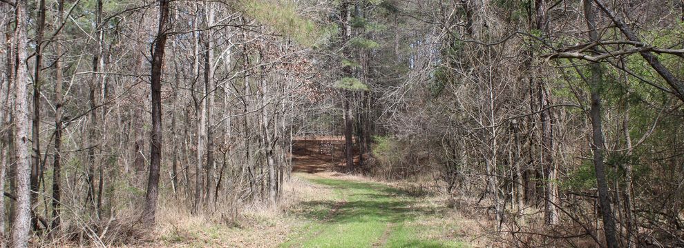 Land for sale in DeSoto County, Mississippi