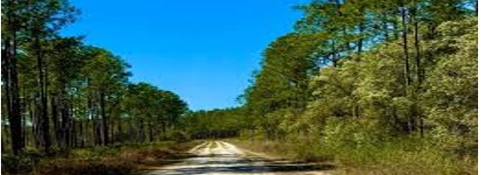 Timberland Property for sale in Putnam County, Florida