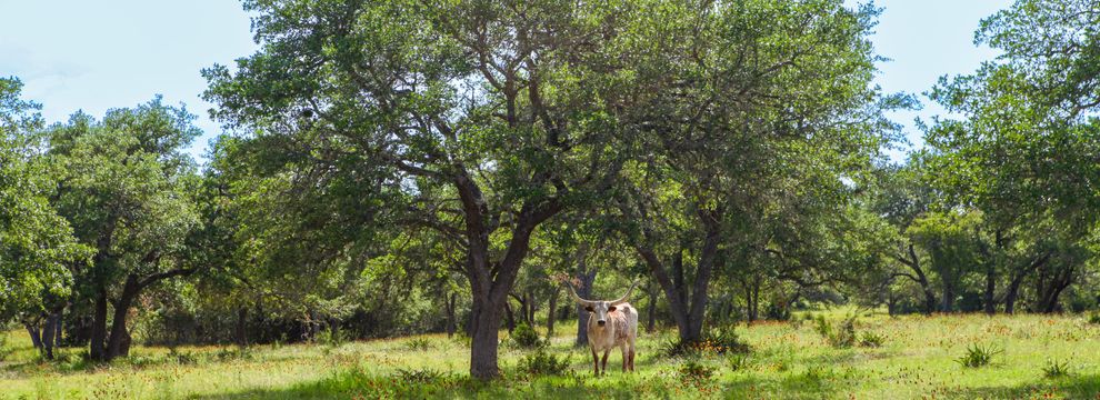 Recreational Property for sale in Gillespie County, Texas