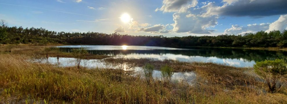 Farm and Ranch for sale in Putnam County, Florida