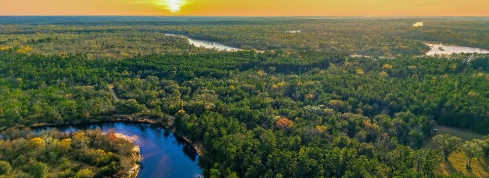 Undeveloped Land for sale in Tattnall County, Georgia