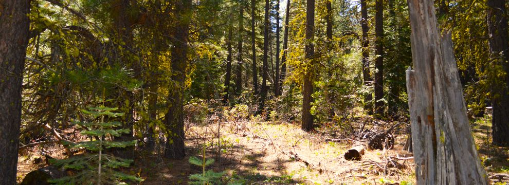 Farm and Ranch for sale in Klamath County, Oregon