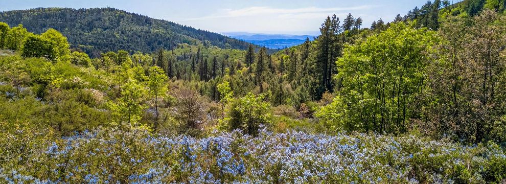 Hunting Property for sale in San Diego County, California