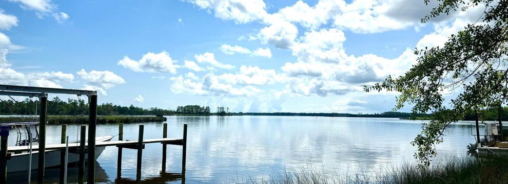Undeveloped Land for sale in Pamlico County, North Carolina