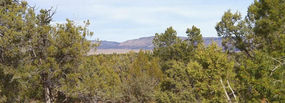 Recreational Property for sale in Yavapai County, Arizona