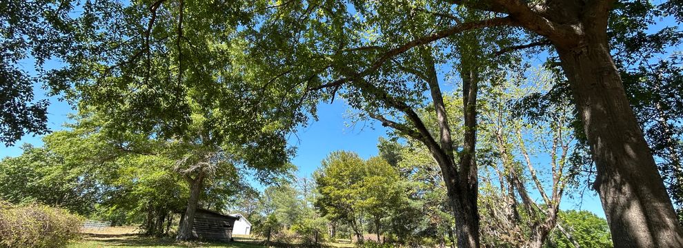 Horse Property for sale in Marion County, South Carolina