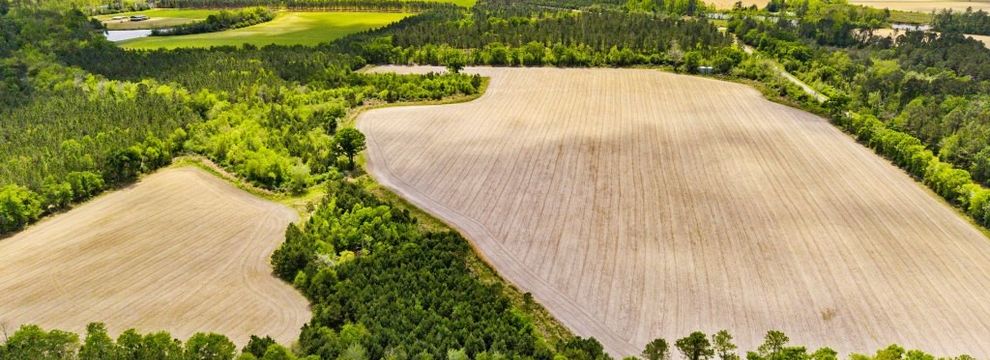 Land for sale in Berrien County, Georgia