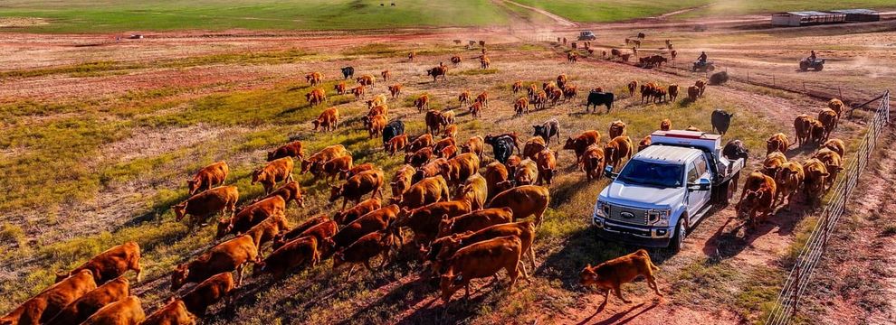 Farm and Ranch for sale in Cotton County, Oklahoma