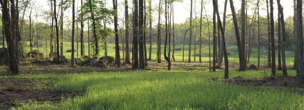Farm and Ranch for sale in Saluda County, South Carolina