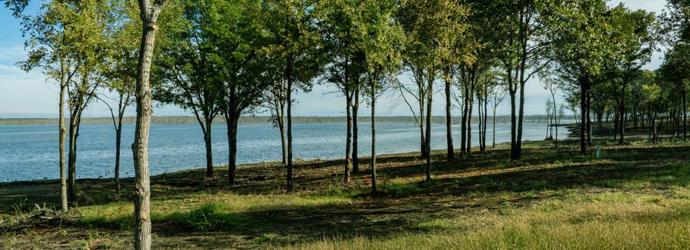 Farm and Ranch for sale in Fannin County, Texas