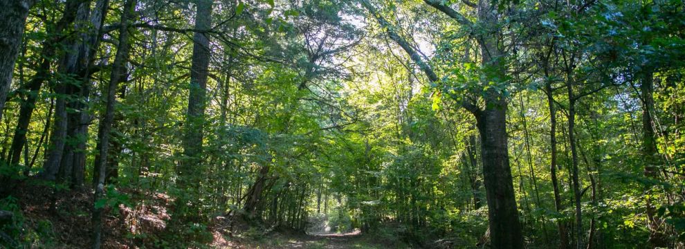 Farm and Ranch for sale in Claiborne County, Mississippi