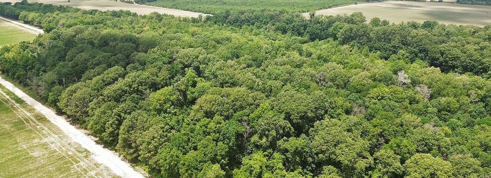 Farm and Ranch for sale in Bolivar County, Mississippi