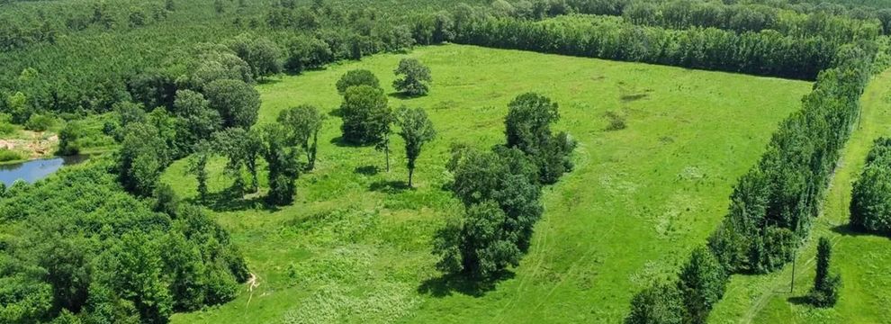 Farm and Ranch for sale in Red River County, Texas