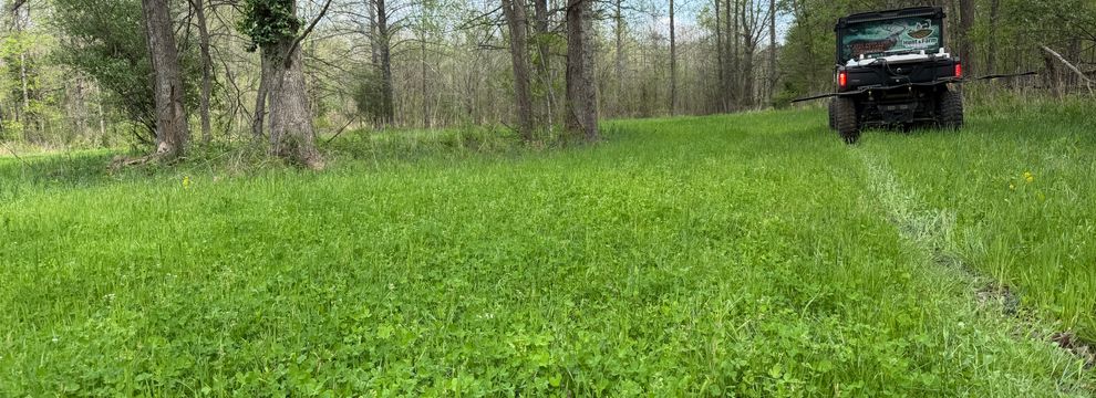 Land for sale in Pope County, Illinois