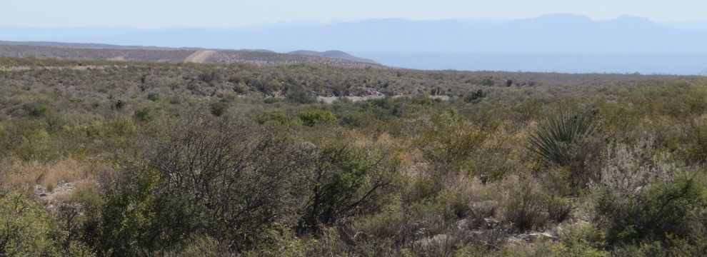 Timberland Property for sale in Terrell County, Texas