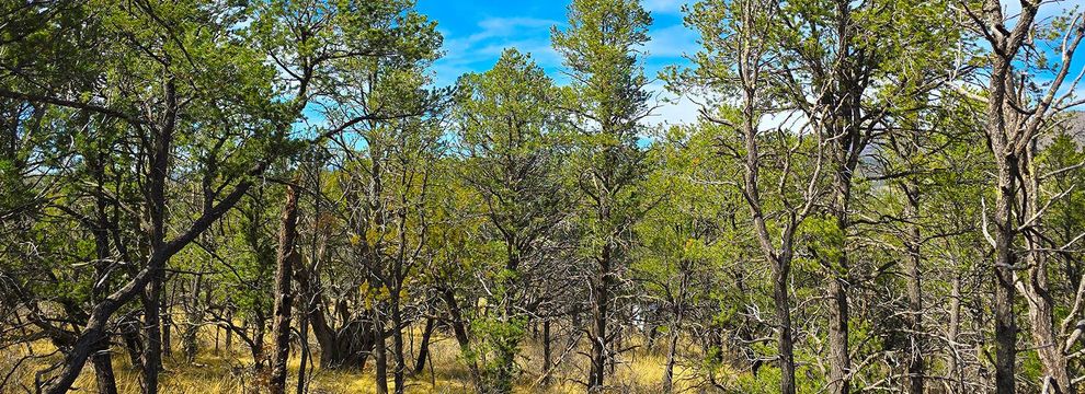Land for sale in Otero County, New Mexico