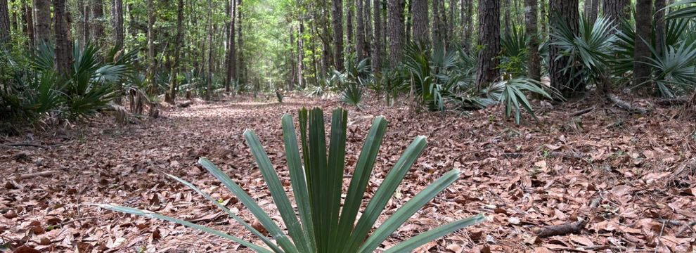 Farm and Ranch for sale in Hardin County, Texas