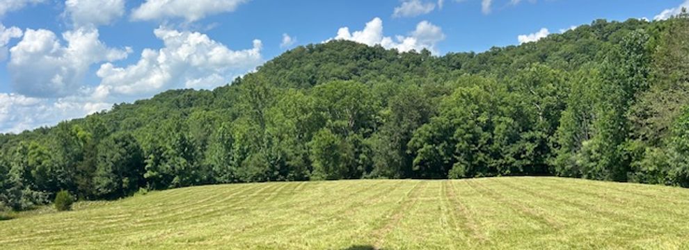 Timberland Property for sale in Adair County, Kentucky