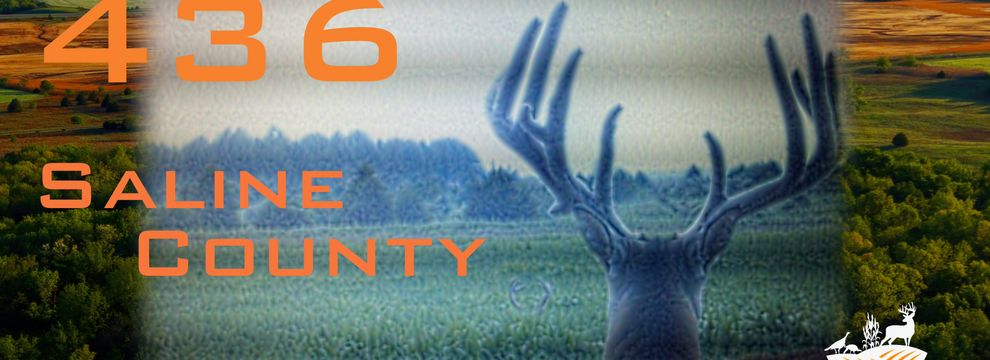 Timberland Property for sale in Saline County, Illinois