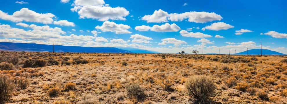 Timberland Property for sale in Costilla County, Colorado