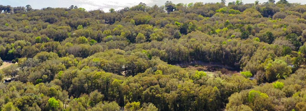 Undeveloped Land for sale in Putnam County, Florida