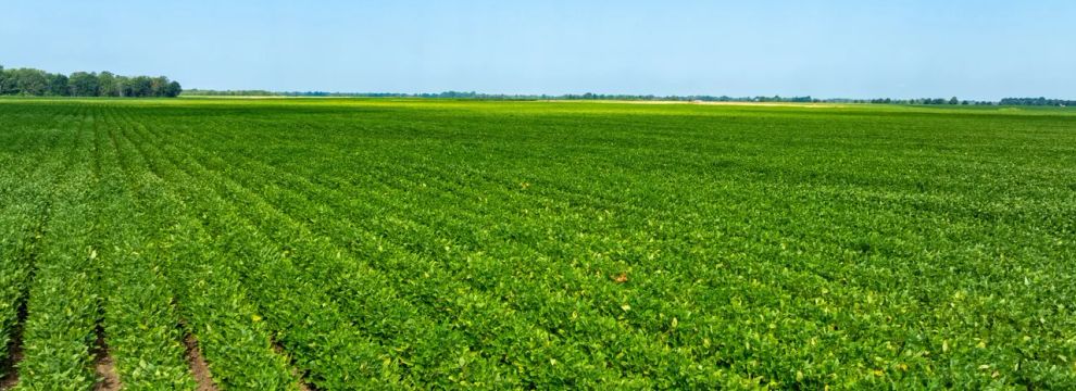 Farm and Ranch for sale in Lawrence County, Arkansas