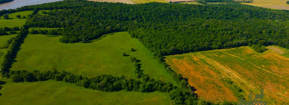 Land for sale in Pope County, Illinois