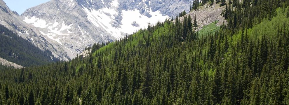 Farm and Ranch for sale in Costilla County, Colorado