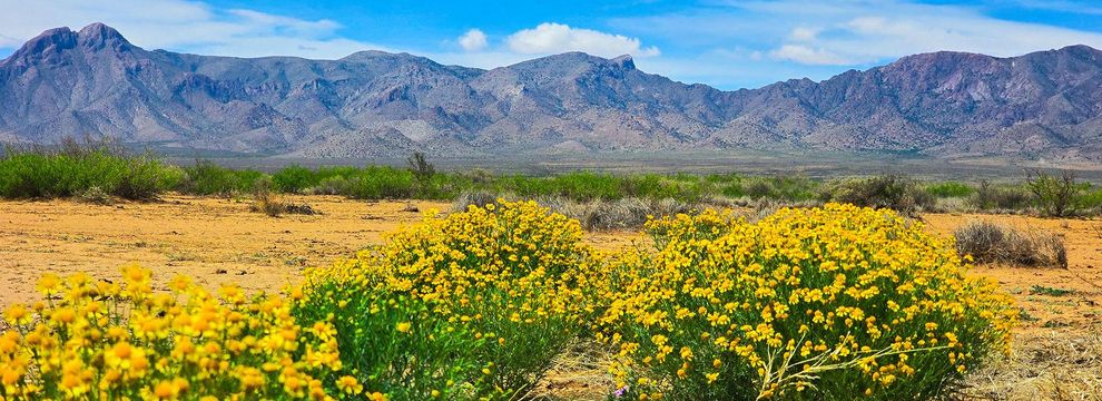 Recreational Property for sale in Luna County, New Mexico