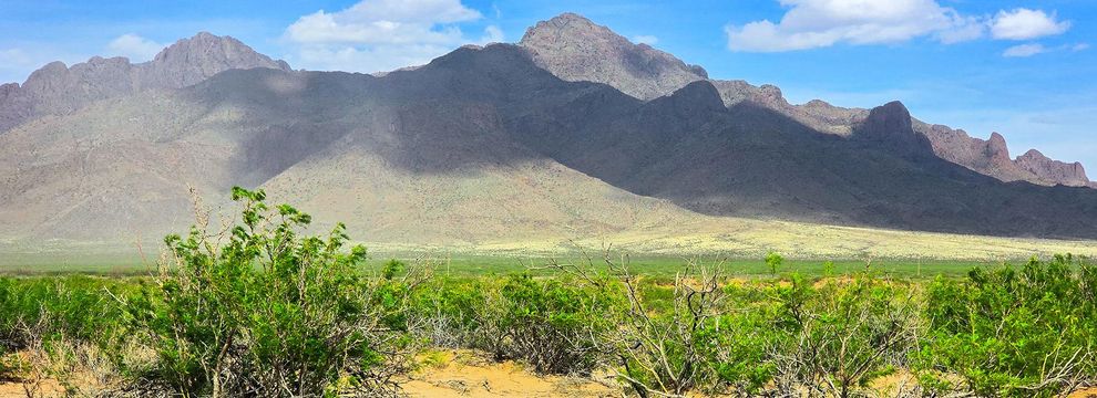 Land for sale in Luna County, New Mexico