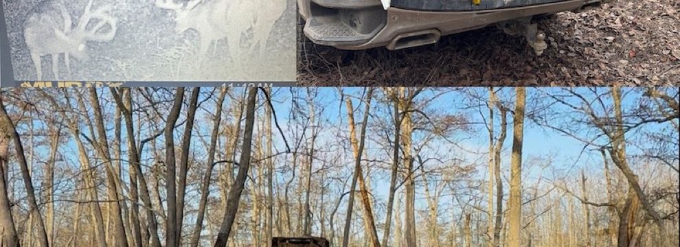 Farm and Ranch for sale in Monroe County, Arkansas