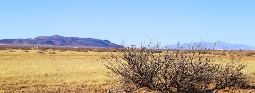 Timberland Property for sale in Luna County, New Mexico