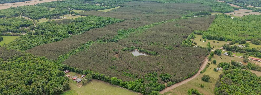 Timberland Property for sale in McNairy County, Tennessee