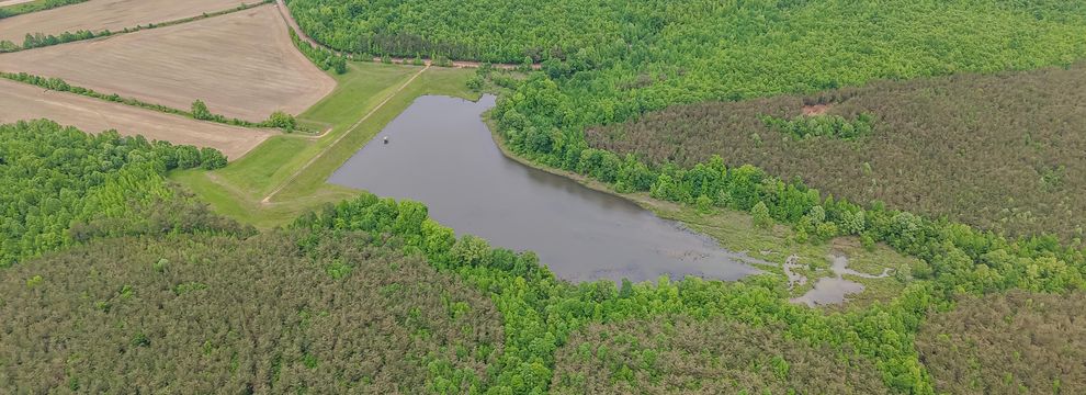 Land for sale in McNairy County, Tennessee
