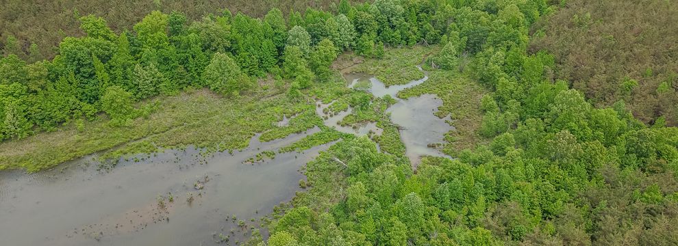 Recreational Property for sale in McNairy County, Tennessee