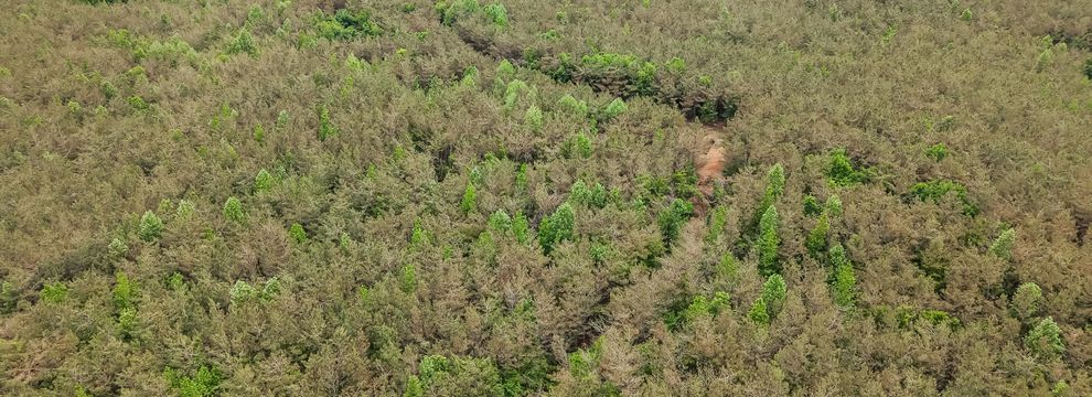 Recreational Property for sale in McNairy County, Tennessee