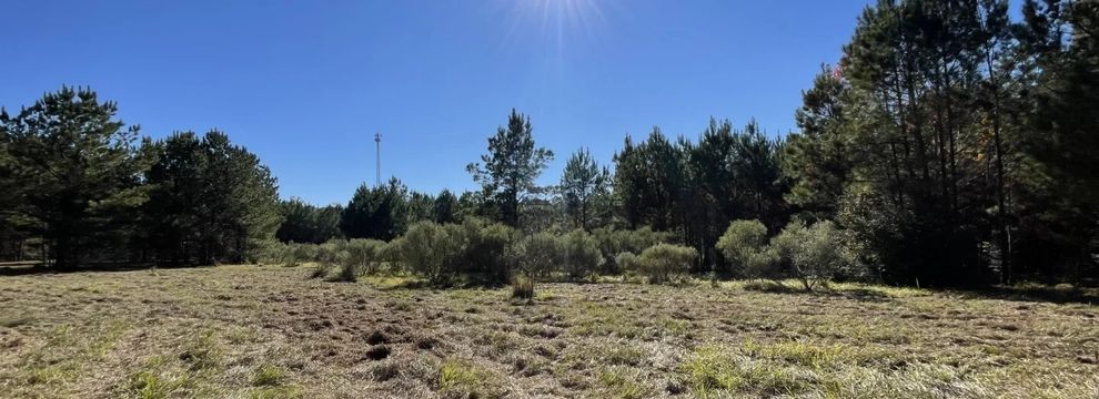 Farm and Ranch for sale in Polk County, Texas