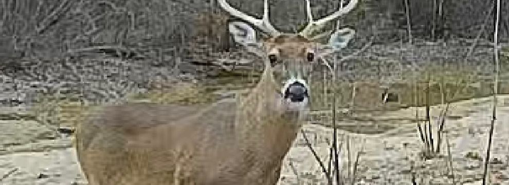Recreational Property for sale in Faulkner County, Arkansas