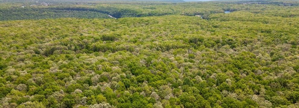 Farm and Ranch for sale in Franklin County, Tennessee