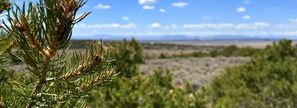 Recreational Property for sale in Costilla County, Colorado