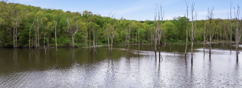 Recreational Property for sale in Decatur County, Iowa